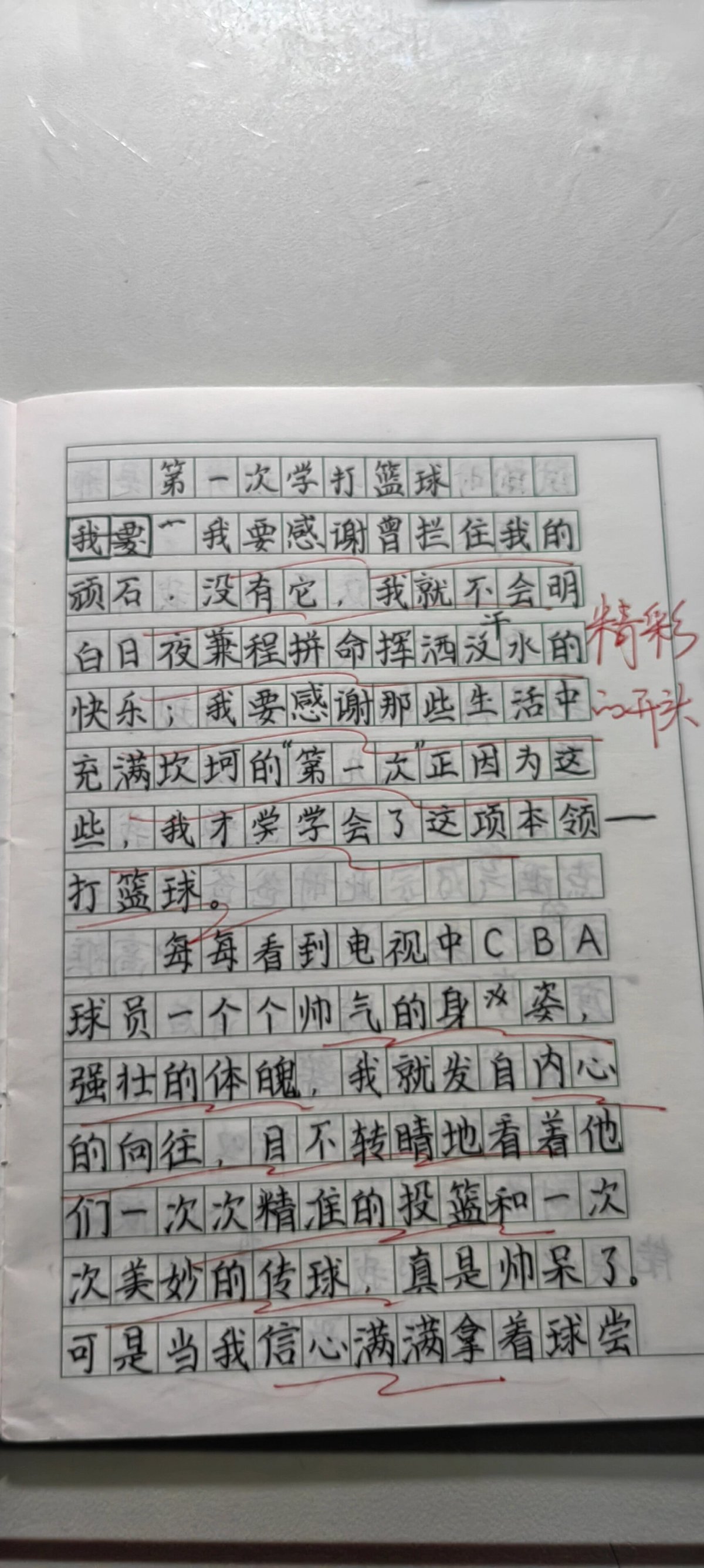 篮球训练过程的作文怎么写